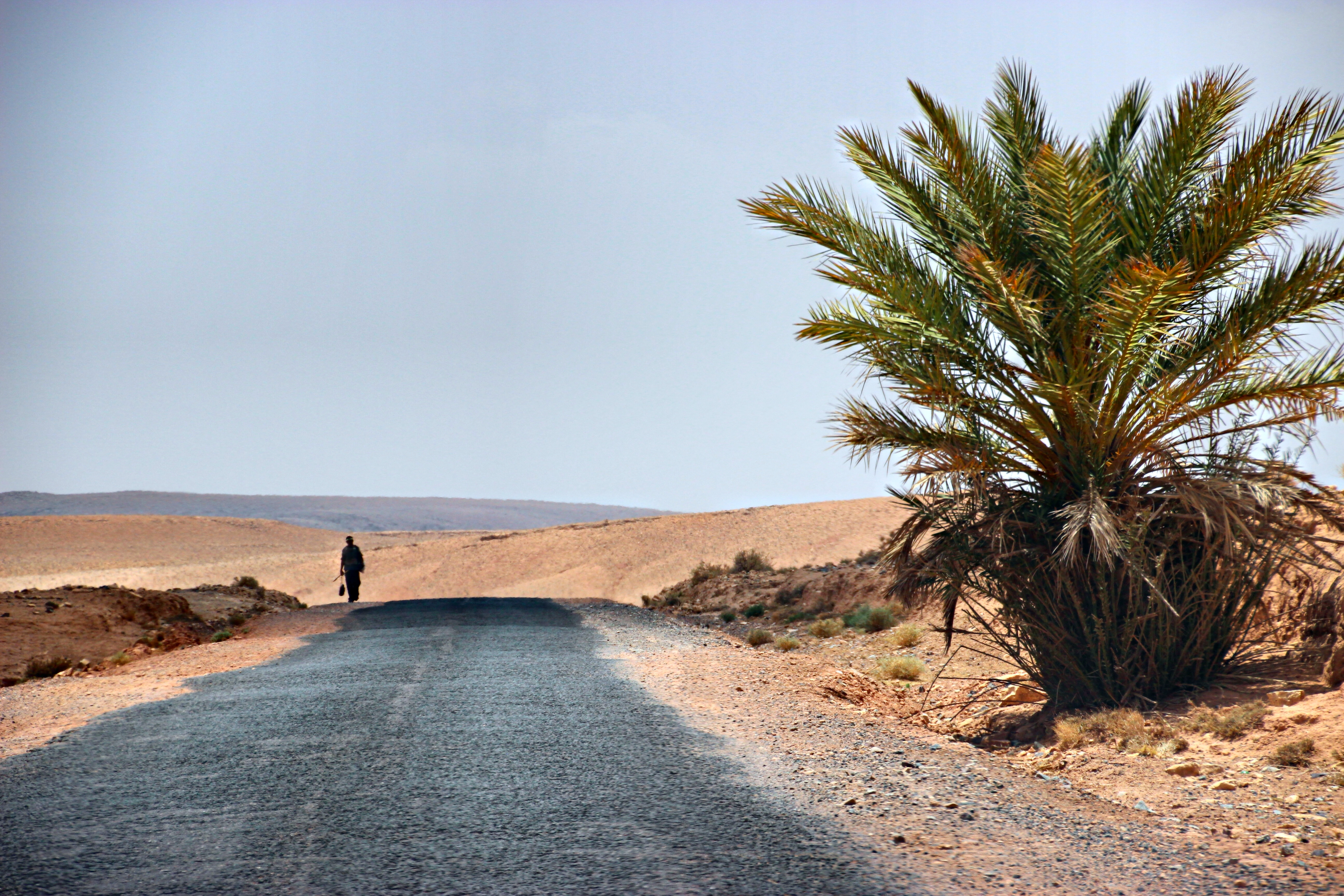 7-questions-reve-marocain