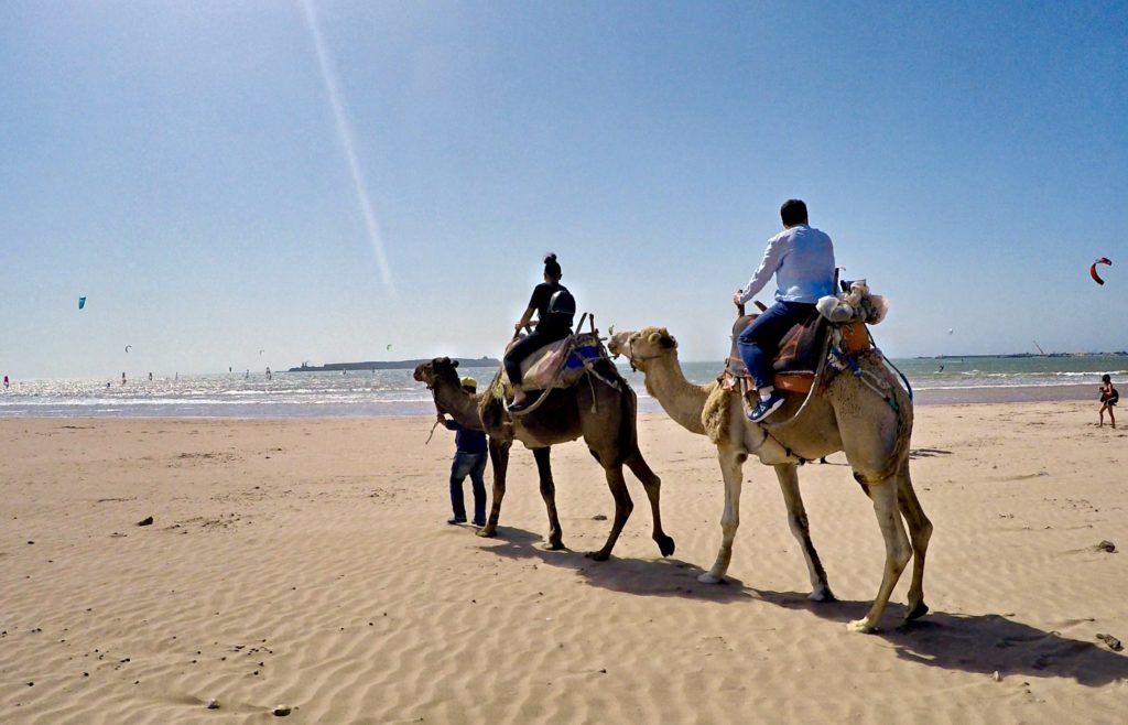 visiter-essaouira