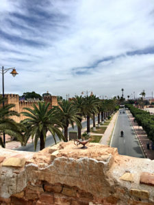 visiter-taroudant