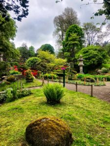 jardin japonais oriental