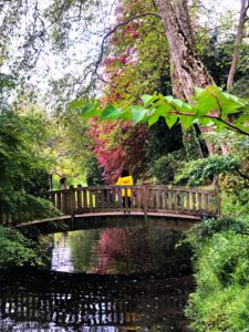 pont japon jardin